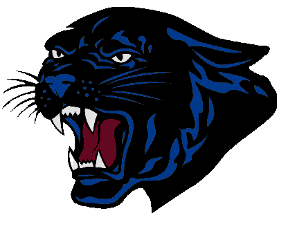 Angry Panther Head